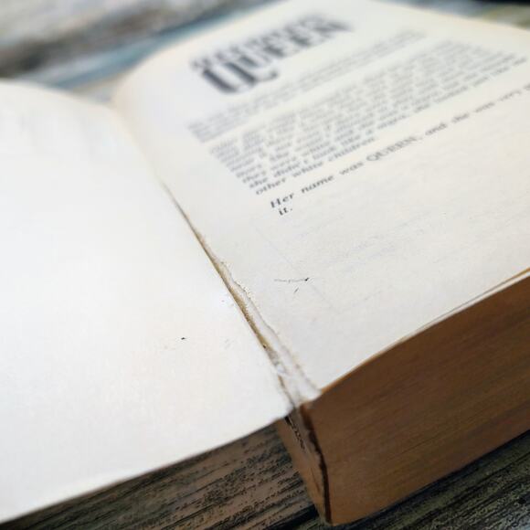 Queen by Alex Haley Vtg 1993 Avon Paperback Novel 1st Ed Print *Acceptable* - Picture 5 of 14